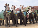 Bintan Elephant Park