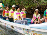 Bintan Mangrove Discovery Tour