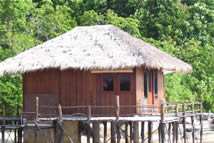 Nostalgia Yasin Water Wooden