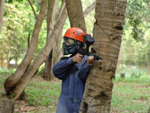 Paint Ball @ Nirwana Gardens