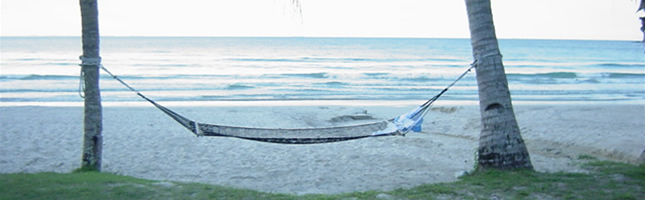 WelcomeToBintan.Com - About Us