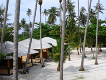 Bintan Cabana Beach Resort Paradise Sandy Villa