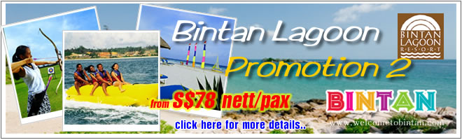 Bintan Lagoon Packages Promotion