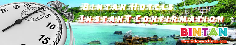 Bintant Hotel Instant Confirmation