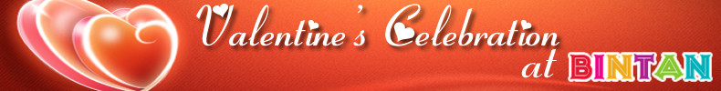 Bintan Valentines Day 2015 Packages