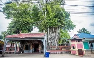 Banyan Tree Temple Bintan