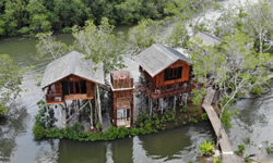 Anaya Treehouse Resort