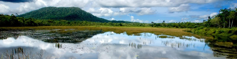 Mount Bintan