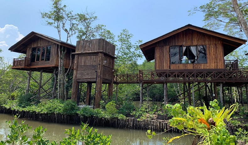 Anaya Treehouse Resort