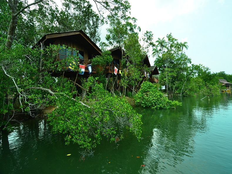 Anaya Treehouse Resort