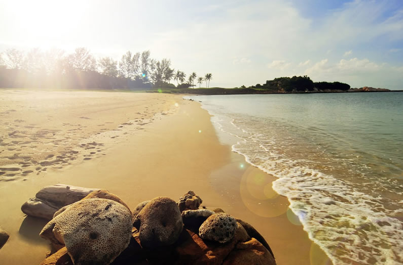 Bintan Lagoon Resort