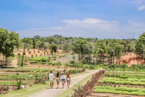 Bintan Nature