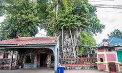 Senggarang Water Village Cultural Tour