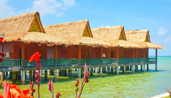 Bintan Agro Resort Tour